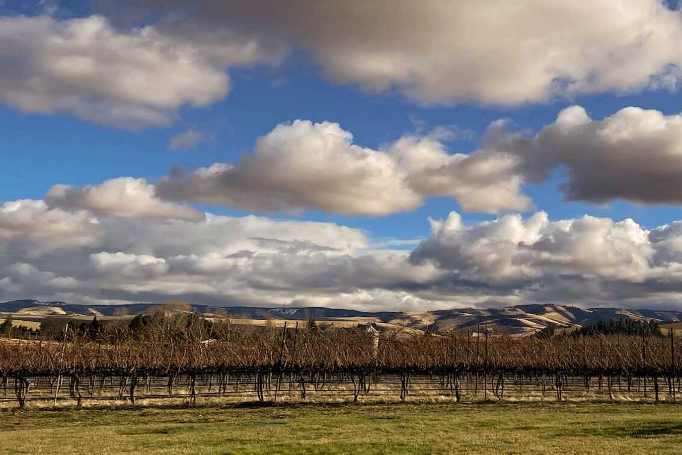 Bend Tasting Room